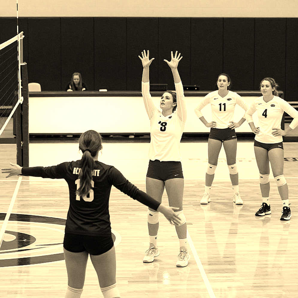 Nine Dimensions of Volleyball Analysis: The Empty Data Sheet and the Writer's Own Noise Nine Dimensions of Volleyball Analysis: The Empty Data Sheet and the Writer's Own Noise